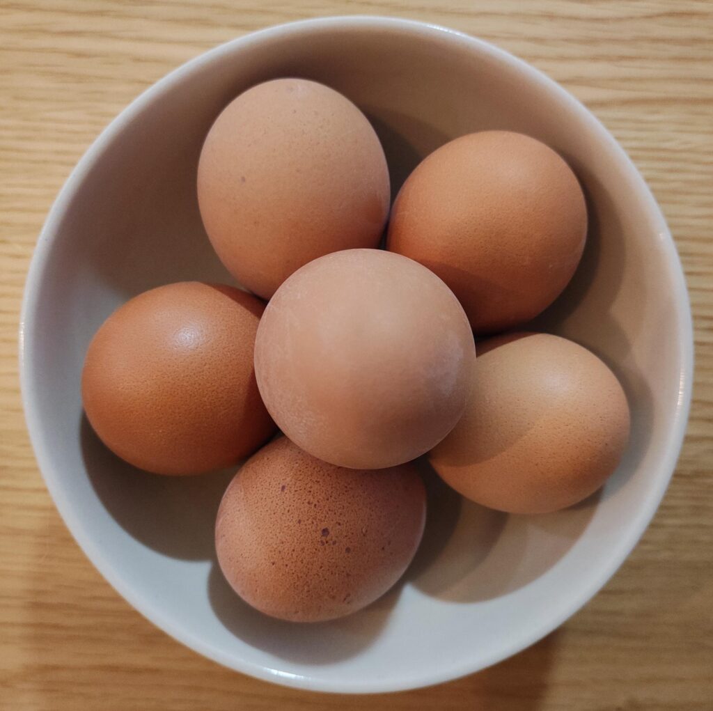 huevos cocidos